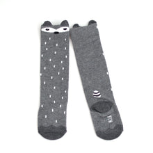 Raccoon Socks - Gray